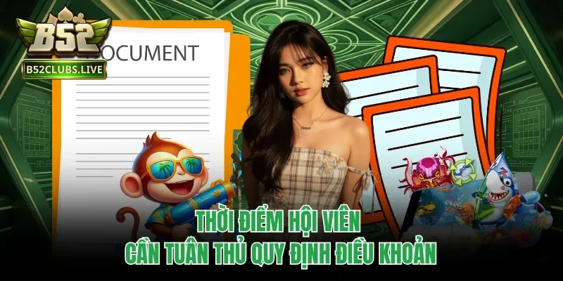 Thời điểm hội viên cần tuân thủ quy định điều khoản 